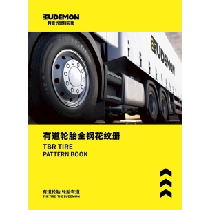LỐP XE TẢI EUDEMON 